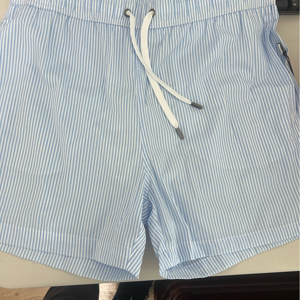 Onia Light Blue and White Striped Shorts
